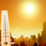 Oboreni rekordi za šumske požare, temperature mora i toplotne talase u 2025. godini