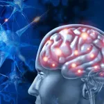 Naučnici prvi put oživeli aktivnost u zamrznutom, pa odmrznutom mozgu