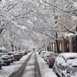 CLS: Sneg i dalje nepremostiva prepreka za gradsku vlast, "Beograd ostaje" traži Šapićevu ostavku