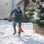 Zelenilo Beograd zbog polomljenih grana i oborenih stabala intervenisalo na 58 lokacija