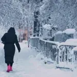 Prelomi, uganuća i povrede kičme – kako reagovati nakon pada na klizavom terenu