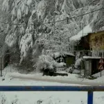 Nacionalna organizacija potrošača Srbije: Put do naknade štete zbog nestanka struje dug i neizvestan