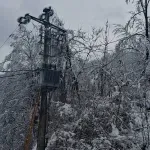 Ministarka privrede Srbije: Bez struje oko 22.000 potrošača