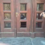 Policija podnosi krivičnu prijavu protiv žene jer je polomila prozor i vrata Patrijaršije SPC