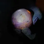 Na Šri Lanki izložen najveći zvezdasti safir na svetu, vredan više od 300 miliona dolara