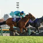 U Londonu proglašen najbolji trkački konj na svetu: Nagrada ekvivalent Zlatnoj lopti u fudbalu