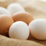 Stručnjaci otkrili da li zaista postoji razlika u kvalitetu jaja prema boji ljuske