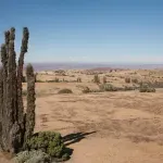 Kiša ovde vekovima nije padala - najsušnije mesto na Zemlji nalazi se pored okeana