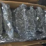 Tužilaštvo u Severnoj Makedoniji istražuje šverc pet tona marihuane pronađene u Konjuhu