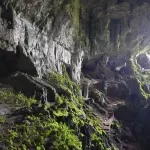 U Sesalačkoj pećini kod Sokobanje naučnici otkrili novu vrstu gljive, ime dobila po Betmenu