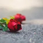 U Hrvatskoj obeležen Međunarodni dan sećanja na žrtve Holokausta