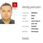 Interpol objavio crvenu poternicu za Milošem Medenicom