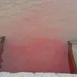 N1 na pocrvenelom Dunavu - snimci reke koja je promenila boju (VIDEO)