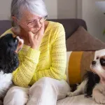 Da li psi zaista mogu da osete kada je njihov vlasnik tužan?