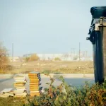 Dugo putovanje neželjenih knjiga: Kako da ne završe pored kontejnera i zašto ih biblioteke ne prihvataju uvek na dar