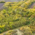 Društvo za zaštitu i proučavanje ptica otkupilo šumu Slavujev lug kod Plandišta