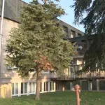 SSP: Račun Opšte bolnice u Vršcu u blokadi, jedini kardiolog dao otkaz