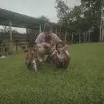 (VIDEO) Amazonska sela u džungli