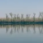 Vukovarska ada sve bliže Srbiji: Zbog nanosa peska moguće fizičko spajanje