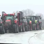 Vojvodina farmers take to the streets in solidarity with dairy producers
