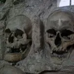 Lobanja vojvode Sinđelića danas će biti snimljena CT skenerom u zdravstvenom centru u Nišu