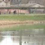 Više javno tužilaštvo u Zrenjaninu naložilo obdukciju tela pronađenog u jezeru u centru grada