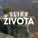 Slike života, nedelja u 15.15h: Zemlja Kraljeva