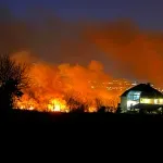 Veliki požar blizu Novog Sada, vatra vidljiva iz grada (FOTO/VIDEO)