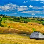 Stamatović traži hitnu obustavu spornog upisa hiljade hektara zemljišta na Zlatiboru u korist PK Zlatibor