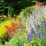 Ovog proleća - stavite sunđere u svoje bašte