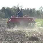 Hoće li zbog naftne krize Srbija ostati bez hrane - ministar optimističan, analitičar smatra da mere države nisu održive na duži rok