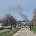 Zelenilo Beograd: Nema stradalih ali velika materijalna šteta u požaru na Bežanijskoj kosi