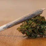 VJT: Predložen pritvor za dve osobe zbog pronađenog arsenala oružja i marihuane