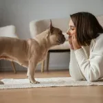 Znaci koji otkrivaju da vaš pas zna da ga lažete