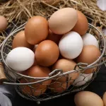 Tri jednostavna načina da proverite da li je jaje pokvareno