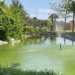 Oaza nedaleko od Beograda: Nekad je bila deponija, a danas je prirodni raj