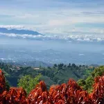 Ivan je proveo 48 sati u džungli koja menja pogled na svet: Zašto je Kostarika drugačija