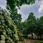 Danas sveže i promenljivo, ponegde i slaba kiša