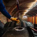 Vina iz Srbije sve cenjenija u svetu, a površine pod vinogradima najmanje u 100 godina - šta je rešenje?