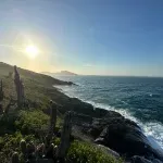 Američku obalu možda čeka okeanska katastrofa brže nego što se mislilo - pokazuje studija