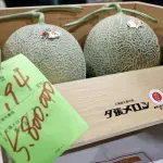 U Japanu par dinja prodat za 31.000 evra