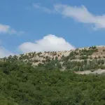 Ekološki ustanak: Na Staroj planini novi nasrtaj na prirodu - posečeno 250 hektara šume zbog izgradnje solarne elektrane