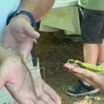 Šta sve očekuje posetioce Naučnog piknika na Banovom brdu
