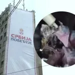 Najugroženiji ptići iz Palate Albanija prebačeni na Institut "Siniša Stanković"