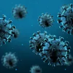 Epidemiolog iz Subotice: Hantavirus sa kruzera nije razlog za paniku niti pretnja pandemijom