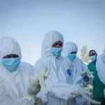 Rizik od zaraze ebolom je mali - građani Srbije mogu da putuju u inostranstvo bez straha