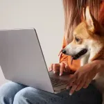 Veterinari upozoravaju - ne lečite kućne ljubimce na društvenim mrežama