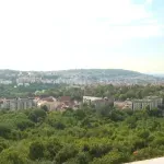 Građani pokrenuli peticiju za očuvanje Bajdine šume