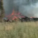 Požar kod Mužljanskog mosta u Zrenjaninu: Gore trava i nisko rastinje