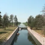 Dok se čeka zvaničan uzrok pomora ribe u Kucuri, slični slučajevi zabeleženi i kod Bečeja i Sente
